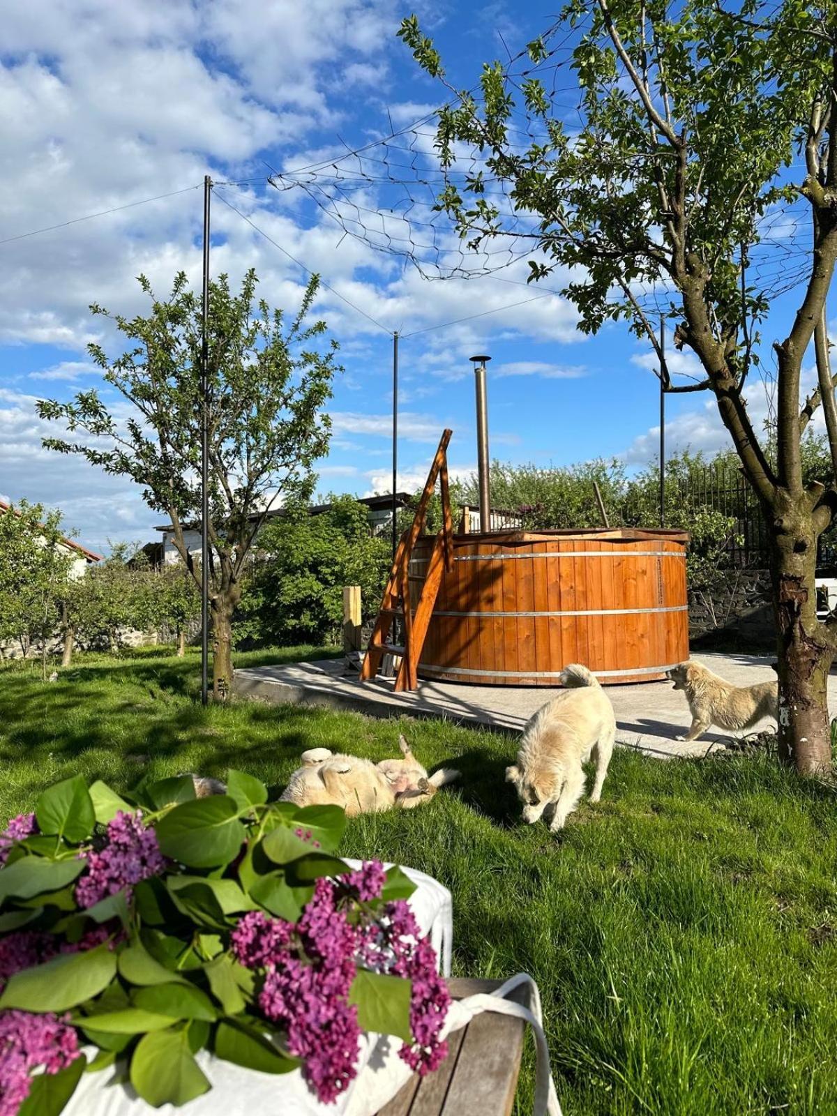 Casa Din Deal Sibiu Esterno foto